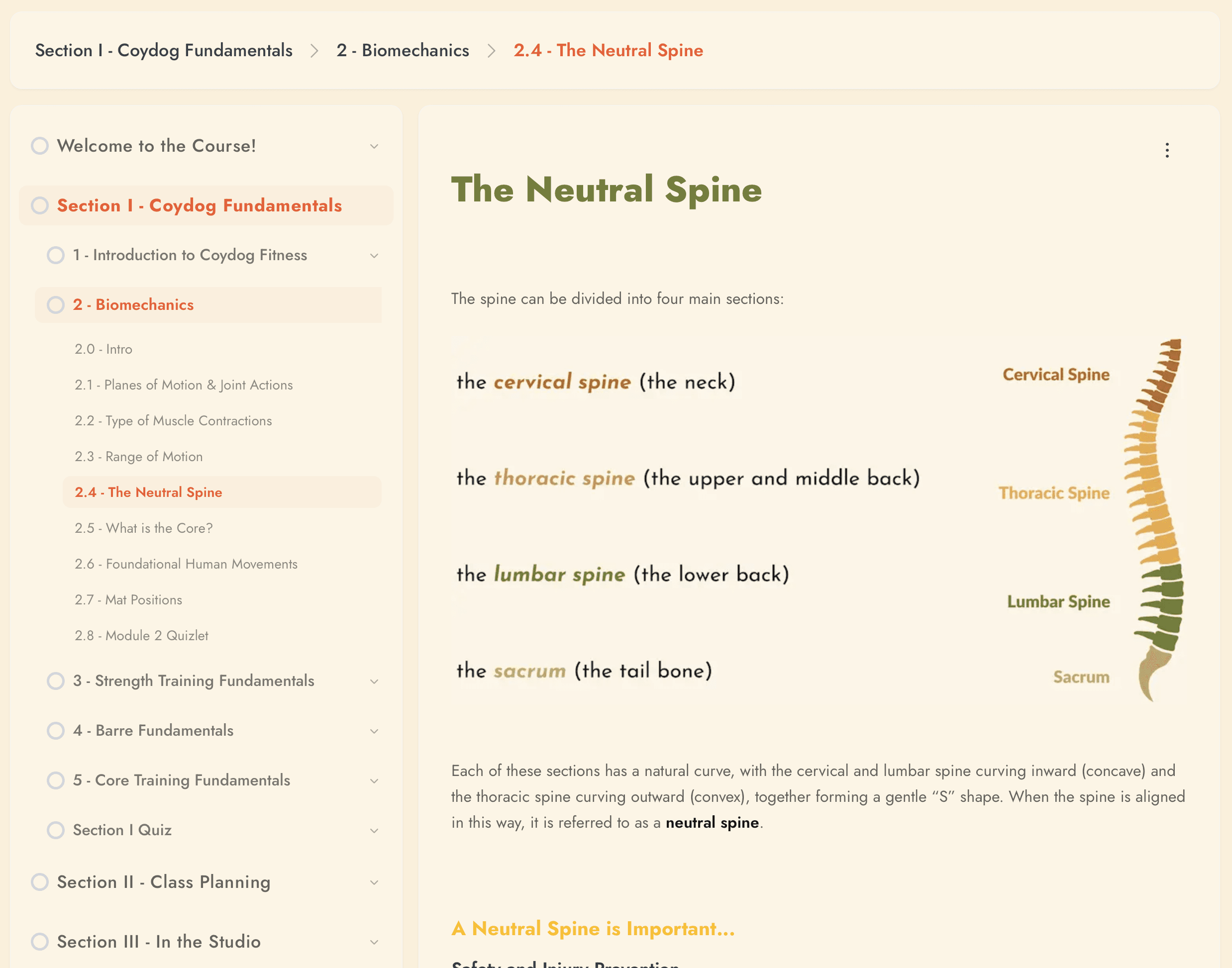 Coydog Fitness Online Exercise library